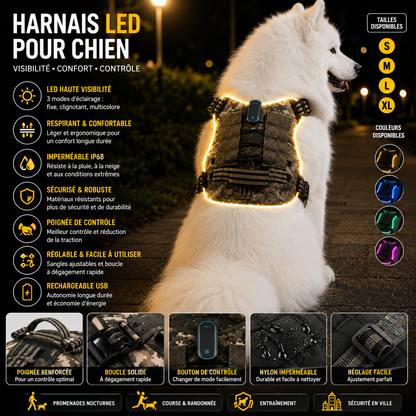 Harnais LED pour Chien et Chiot – Respirant, Léger et Réglable avec Visibilité Nocturne