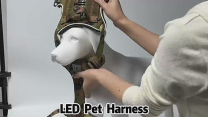 Harnais LED pour Chien et Chiot – Respirant, Léger et Réglable avec Visibilité Nocturne